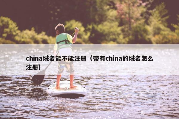 china域名能不能注册（带有china的域名怎么注册）-第1张图片-冷动云