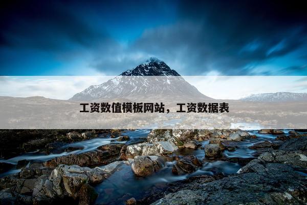 工资数值模板网站，工资数据表-第1张图片-冷动云