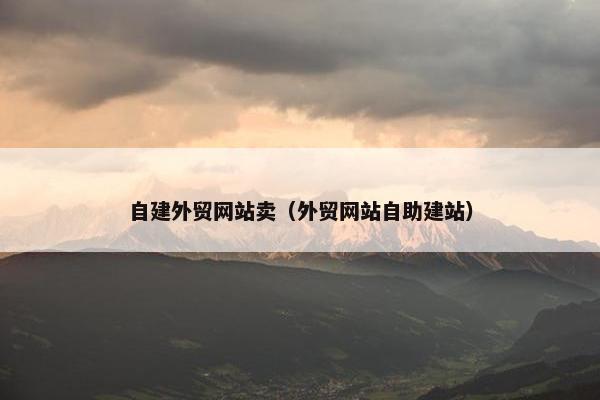 自建外贸网站卖（外贸网站自助建站）-第1张图片-冷动云