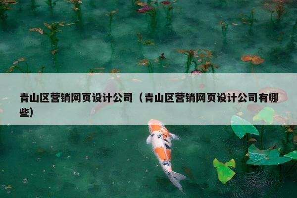 青山区营销网页设计公司（青山区营销网页设计公司有哪些）-第1张图片-冷动云
