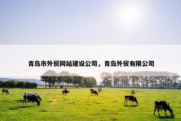 青岛市外贸网站建设公司，青岛外贸有限公司-第1张图片-冷动云