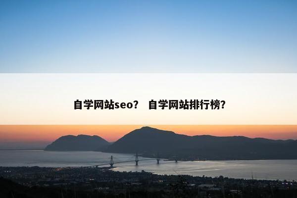 自学网站seo？ 自学网站排行榜？-第1张图片-冷动云