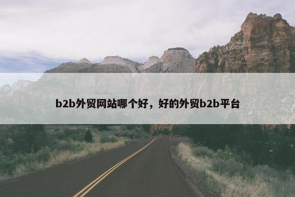 b2b外贸网站哪个好，好的外贸b2b平台-第1张图片-冷动云