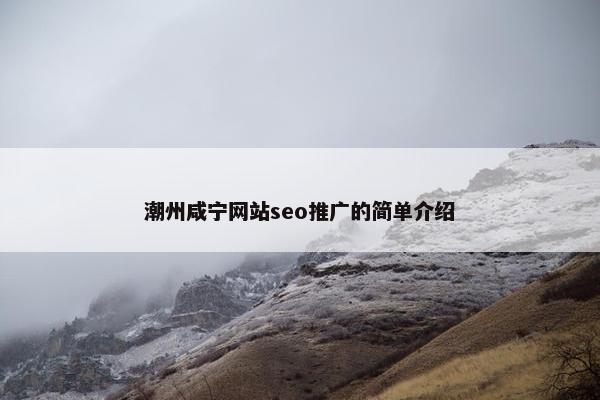 潮州咸宁网站seo推广的简单介绍-第1张图片-冷动云