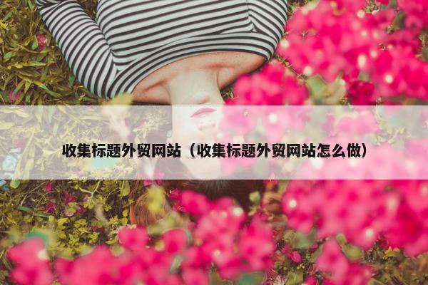 收集标题外贸网站（收集标题外贸网站怎么做）-第1张图片-冷动云