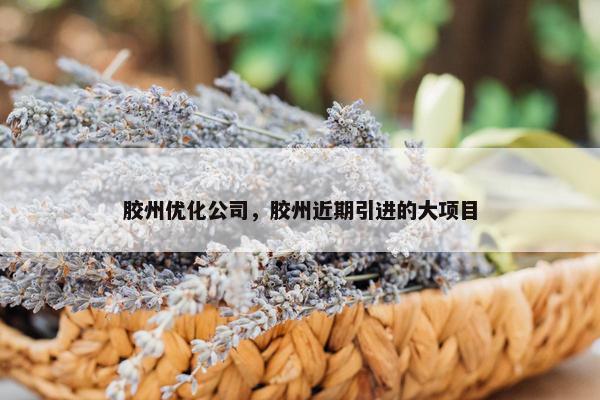 胶州优化公司，胶州近期引进的大项目-第1张图片-冷动云