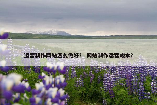 运营制作网站怎么做好？ 网站制作运营成本？-第1张图片-冷动云