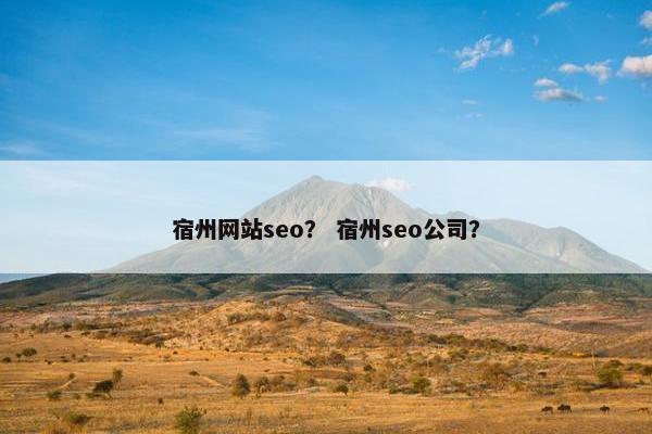 宿州网站seo？ 宿州seo公司？-第1张图片-冷动云