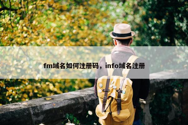 fm域名如何注册码，info域名注册-第1张图片-冷动云
