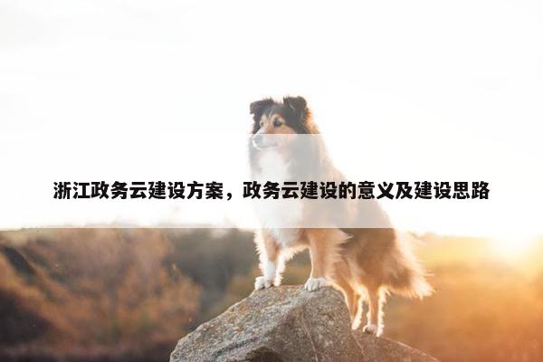浙江政务云建设方案，政务云建设的意义及建设思路-第1张图片-冷动云
