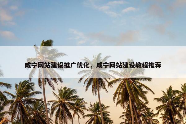 咸宁网站建设推广优化，咸宁网站建设教程推荐-第1张图片-冷动云
