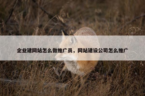 企业建网站怎么做推广员，网站建设公司怎么推广-第1张图片-冷动云