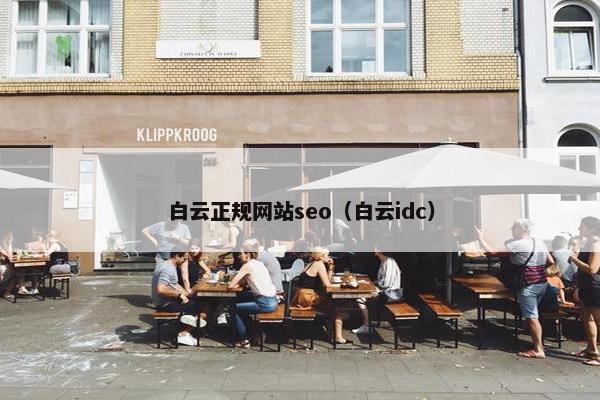 白云正规网站seo（白云idc）-第1张图片-冷动云