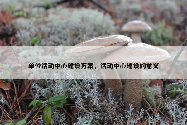 单位活动中心建设方案，活动中心建设的意义-第1张图片-冷动云