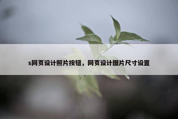 s网页设计照片按钮，网页设计图片尺寸设置-第1张图片-冷动云