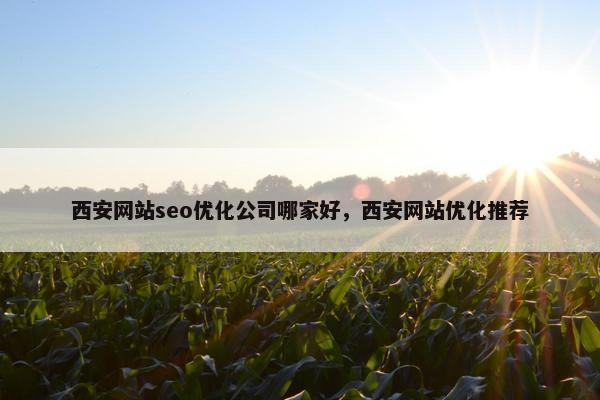 西安网站seo优化公司哪家好，西安网站优化推荐-第1张图片-冷动云