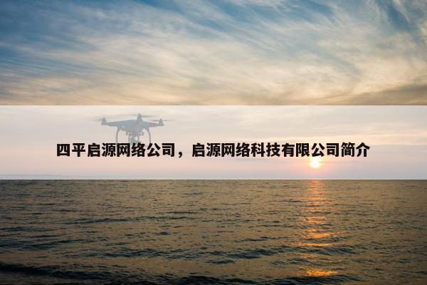 四平启源网络公司，启源网络科技有限公司简介-第1张图片-冷动云