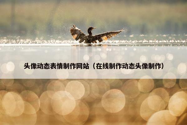 头像动态表情制作网站（在线制作动态头像制作）-第1张图片-冷动云