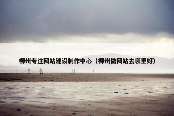 柳州专注网站建设制作中心（柳州做网站去哪里好）-第1张图片-冷动云