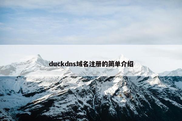 duckdns域名注册的简单介绍-第1张图片-冷动云