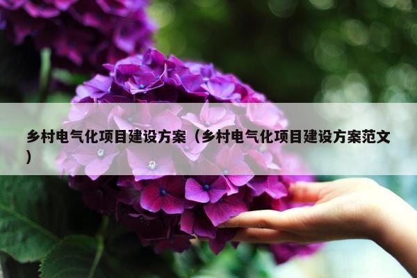 乡村电气化项目建设方案（乡村电气化项目建设方案范文）-第1张图片-冷动云