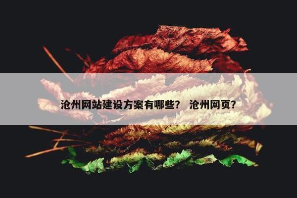 沧州网站建设方案有哪些？ 沧州网页？-第1张图片-冷动云