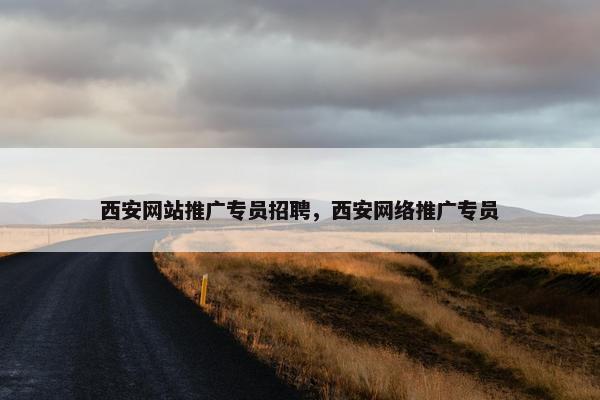 西安网站推广专员招聘，西安网络推广专员-第1张图片-冷动云