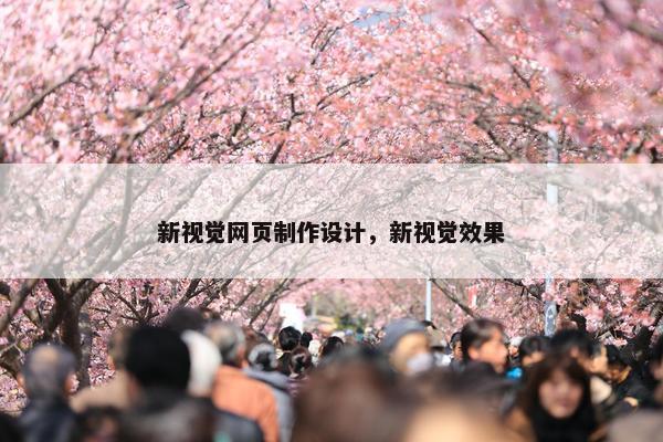 新视觉网页制作设计，新视觉效果-第1张图片-冷动云