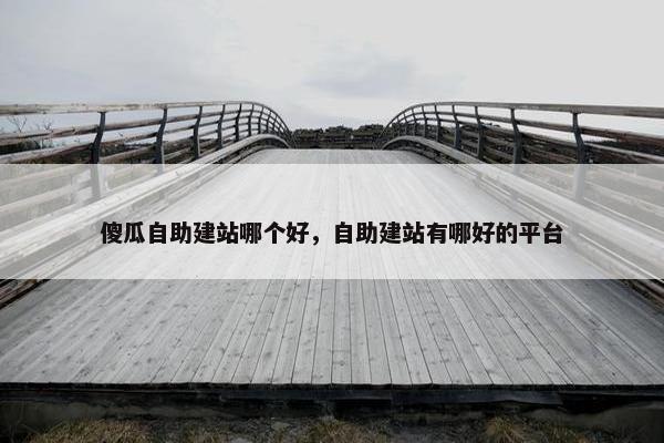 傻瓜自助建站哪个好，自助建站有哪好的平台-第1张图片-冷动云