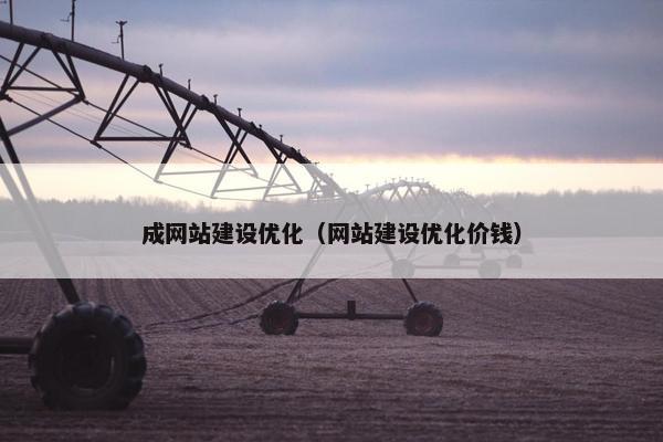 成网站建设优化（网站建设优化价钱）-第1张图片-冷动云