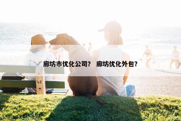廊坊市优化公司？ 廊坊优化外包？-第1张图片-冷动云