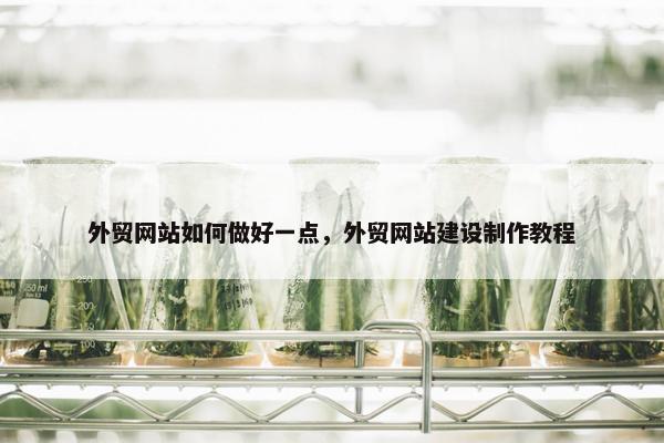 外贸网站如何做好一点，外贸网站建设制作教程-第1张图片-冷动云