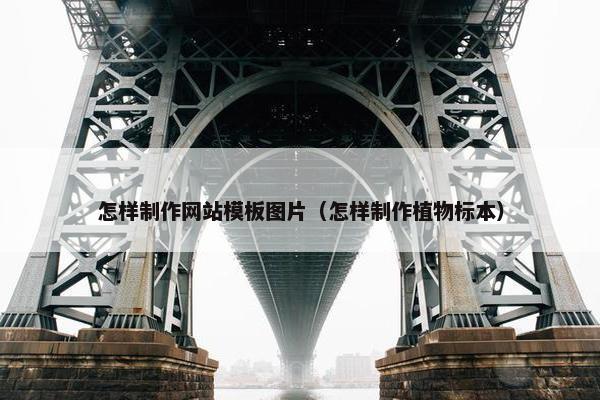 怎样制作网站模板图片（怎样制作植物标本）-第1张图片-冷动云