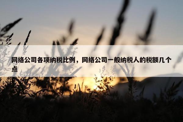 网络公司各项纳税比例，网络公司一般纳税人的税额几个点-第1张图片-冷动云