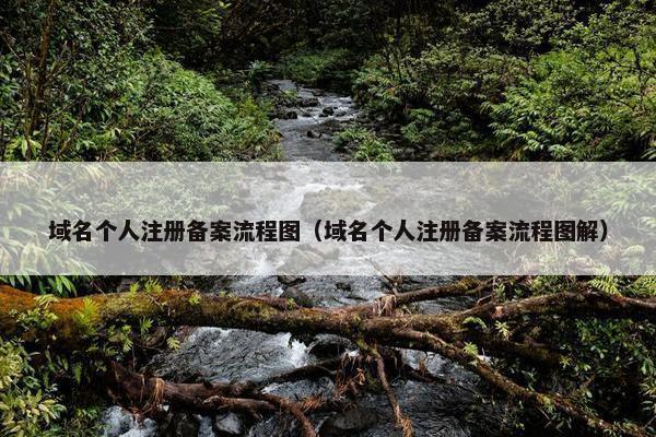域名个人注册备案流程图（域名个人注册备案流程图解）-第1张图片-冷动云