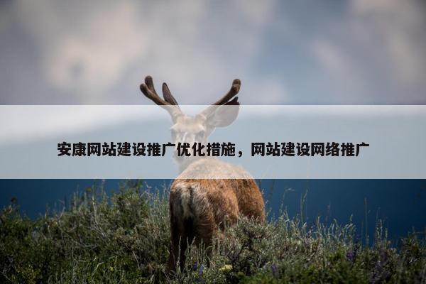 安康网站建设推广优化措施，网站建设网络推广-第1张图片-冷动云
