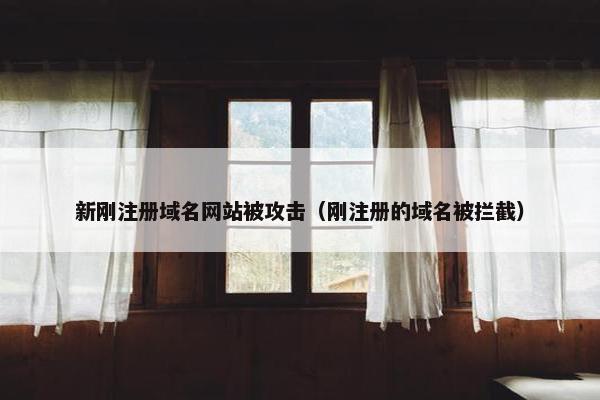 新刚注册域名网站被攻击（刚注册的域名被拦截）-第1张图片-冷动云