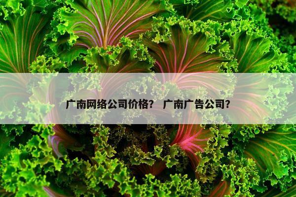 广南网络公司价格？ 广南广告公司？-第1张图片-冷动云