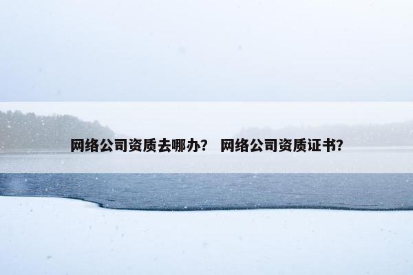 网络公司资质去哪办？ 网络公司资质证书？-第1张图片-冷动云