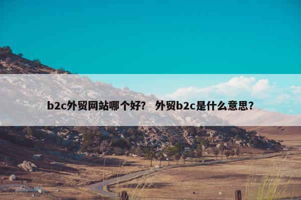b2c外贸网站哪个好？ 外贸b2c是什么意思？-第1张图片-冷动云
