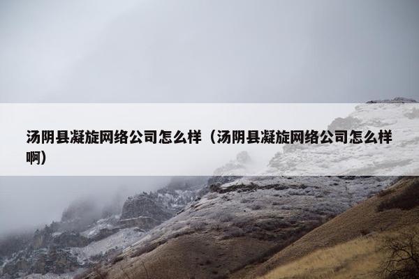 汤阴县凝旋网络公司怎么样（汤阴县凝旋网络公司怎么样啊）-第1张图片-冷动云