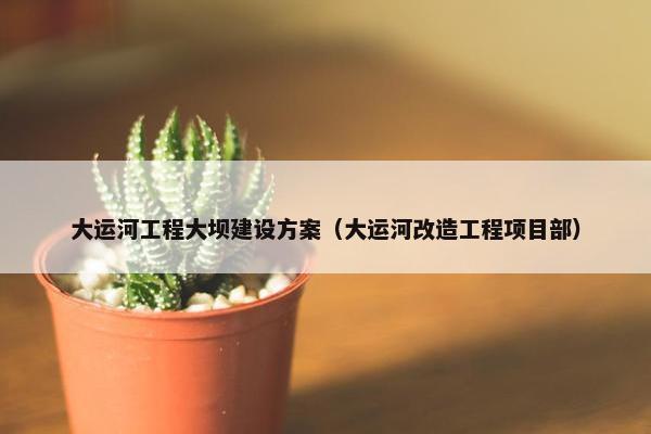 大运河工程大坝建设方案（大运河改造工程项目部）-第1张图片-冷动云