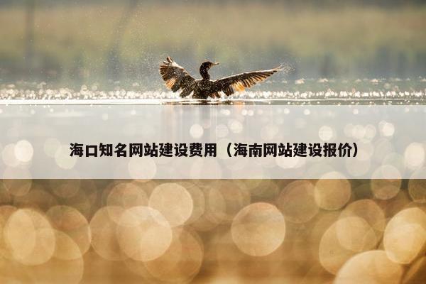 海口知名网站建设费用（海南网站建设报价）-第1张图片-冷动云