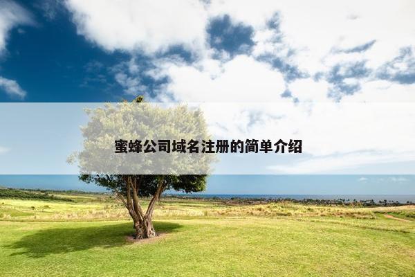 蜜蜂公司域名注册的简单介绍-第1张图片-冷动云