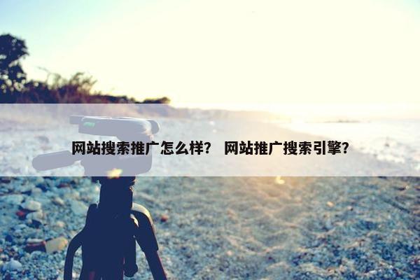 网站搜索推广怎么样？ 网站推广搜索引擎？-第1张图片-冷动云