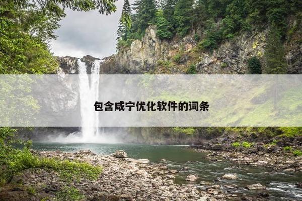 包含咸宁优化软件的词条-第1张图片-冷动云