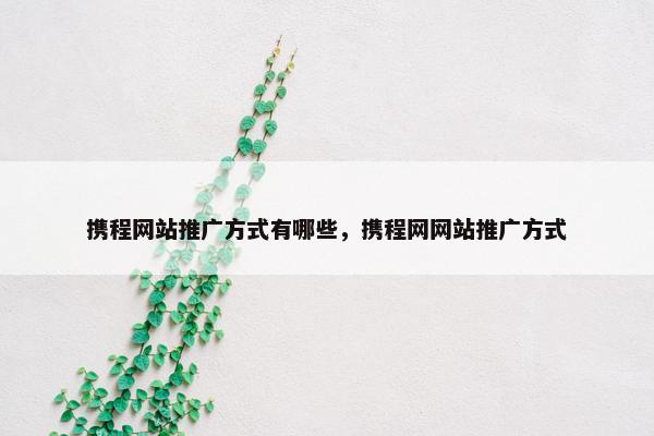 携程网站推广方式有哪些，携程网网站推广方式-第1张图片-冷动云