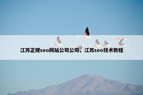 江苏正规seo网站公司公司，江苏seo技术教程-第1张图片-冷动云