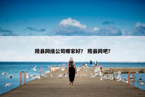 陵县网络公司哪家好？ 陵县网吧？-第1张图片-冷动云