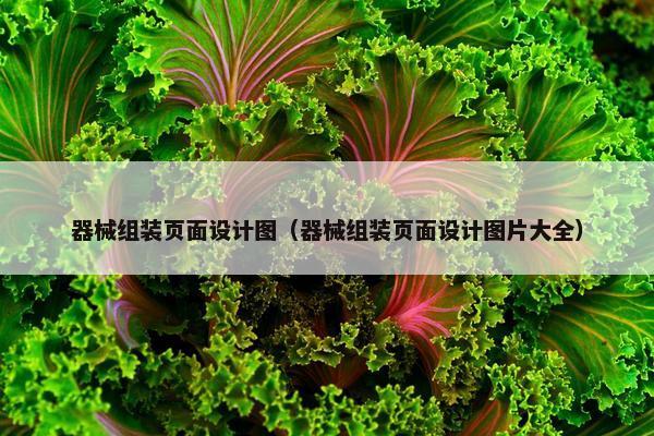 器械组装页面设计图（器械组装页面设计图片大全）-第1张图片-冷动云